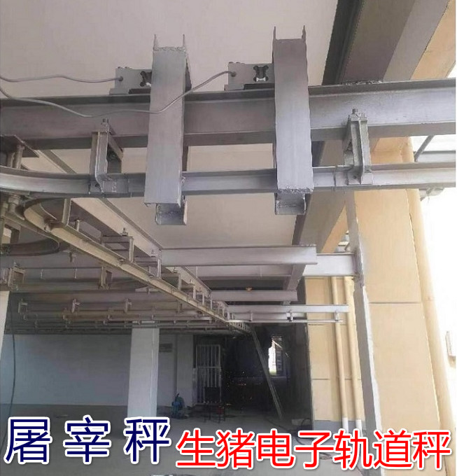 生豬屠宰場專用電子軌道秤